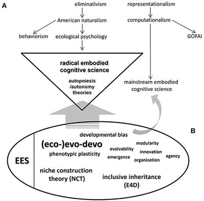 Is It Necessary to Integrate Evo-Devo to the Analysis and Construction of Artificial Emotional Systems?